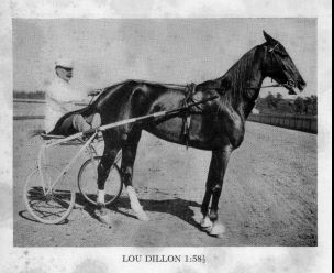 The mare Lou Dillon